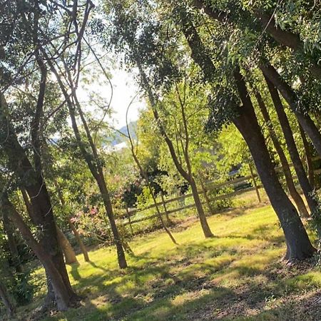 Chalet En Pleine Nature La Roquette-sur-Siagne Exterior photo